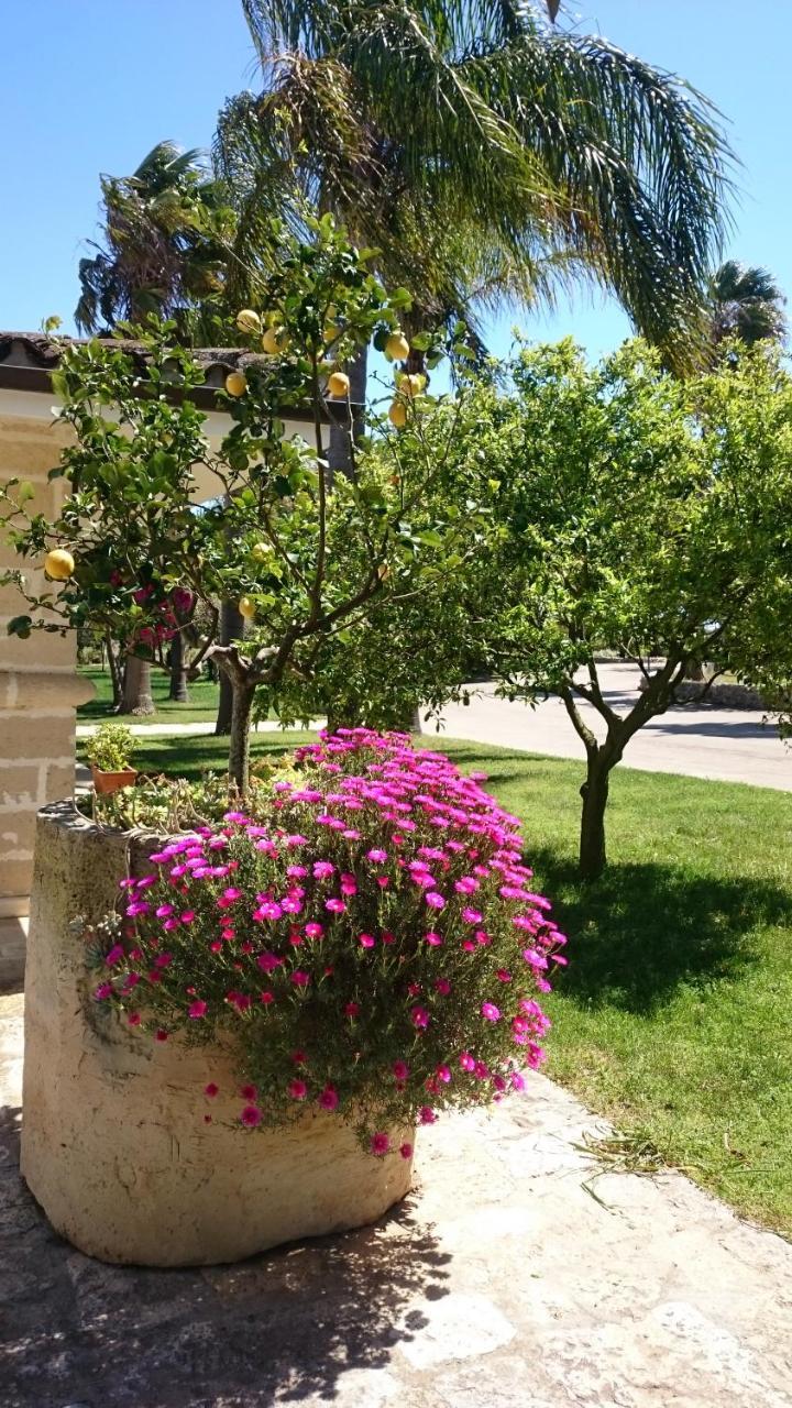 Agriturismo Torrevecchia San Pancrazio Salentino Eksteriør bilde